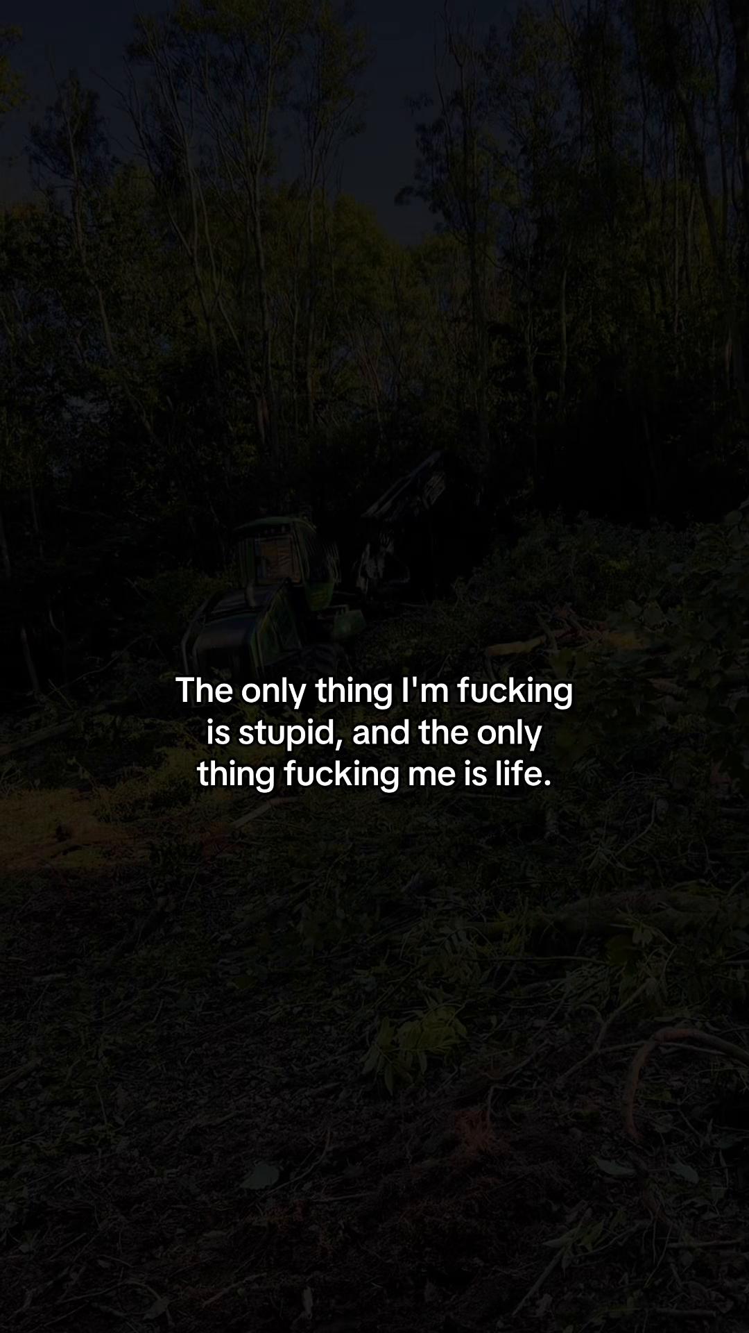 @🌲chase🌲