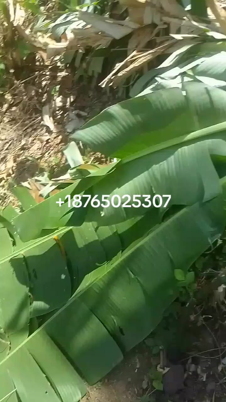 @💋 eating 👅 pumpum 😋 boss 🛌