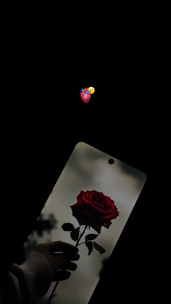 @💫𝐒𝐲𝐞𝐝 𝐊𝐚𝐌𝐢🫀