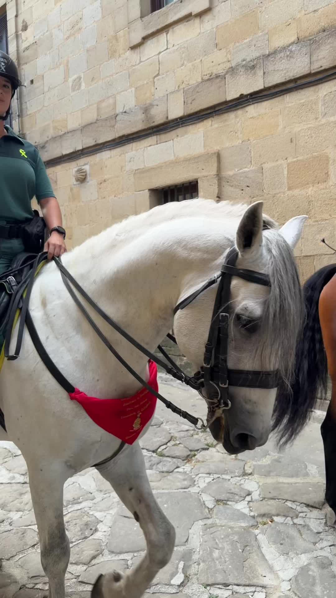 @Guardia Civil Navarra