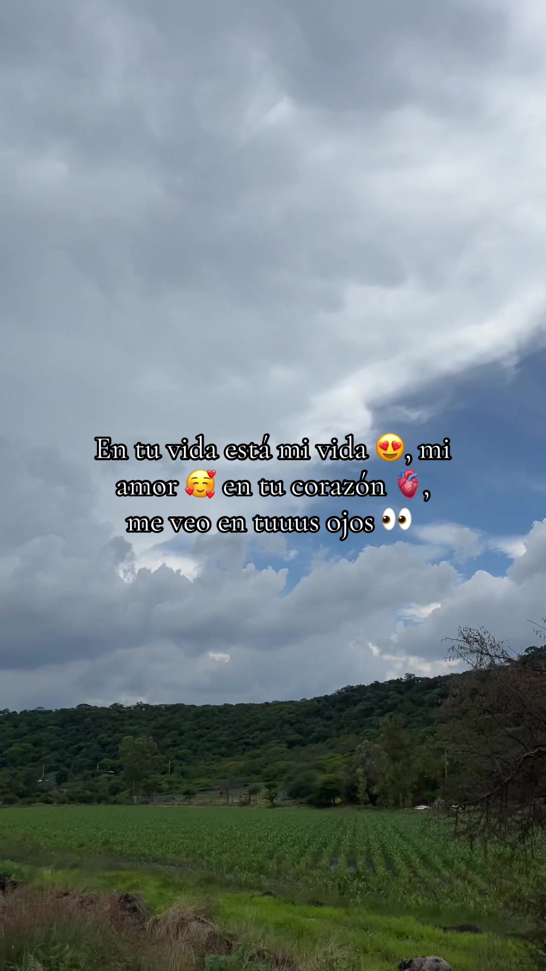 @Vane๐ซฆ๐
