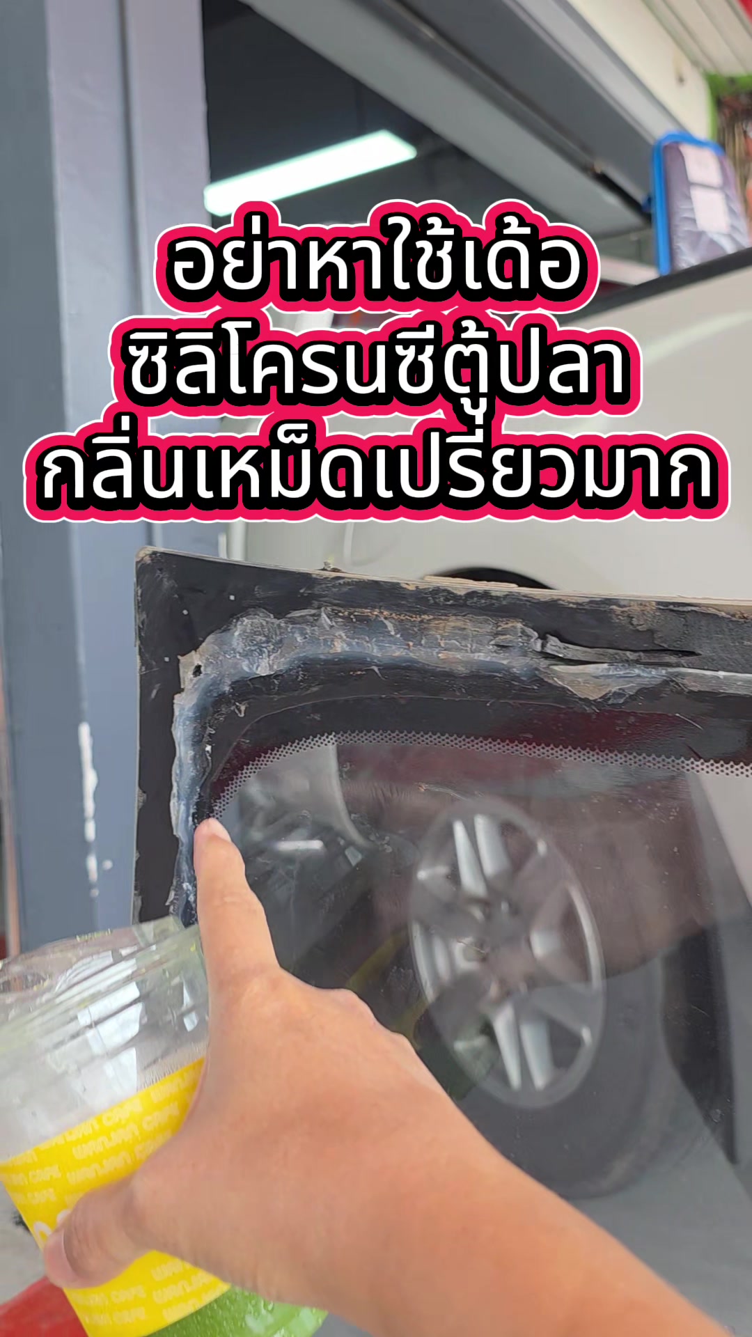 @ตี๋กระจกรถยนต์