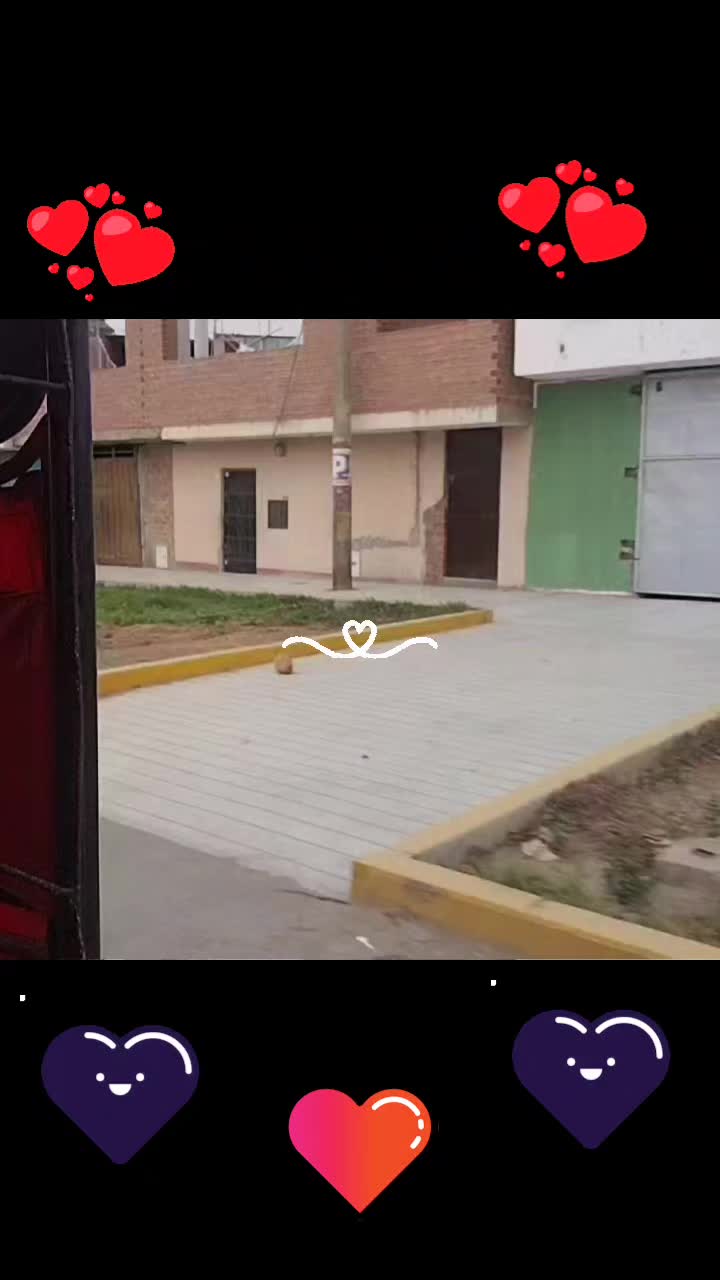 @♡♡Janet castillo♡♡