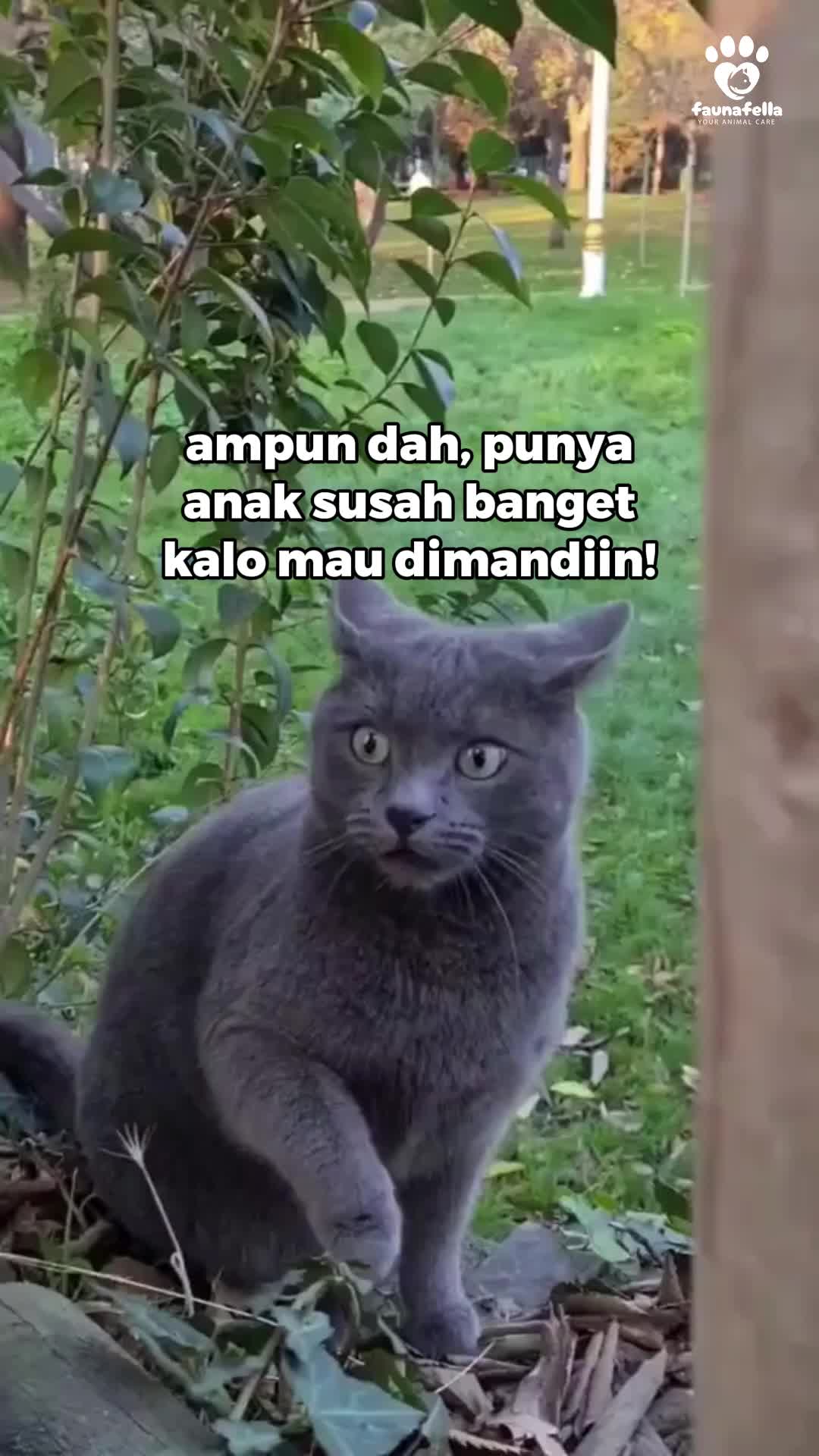 @Faunafella Care