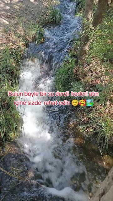 @Selçuk24🦅🦅🦅🌞🗻🏞️