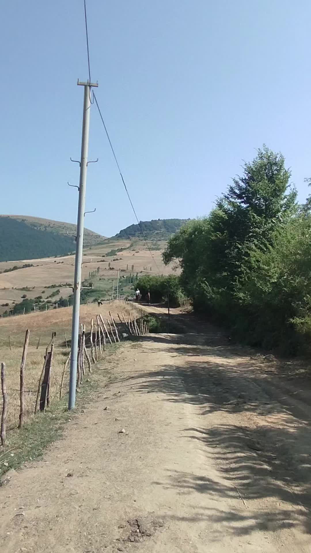 @Elgün Əlizadə