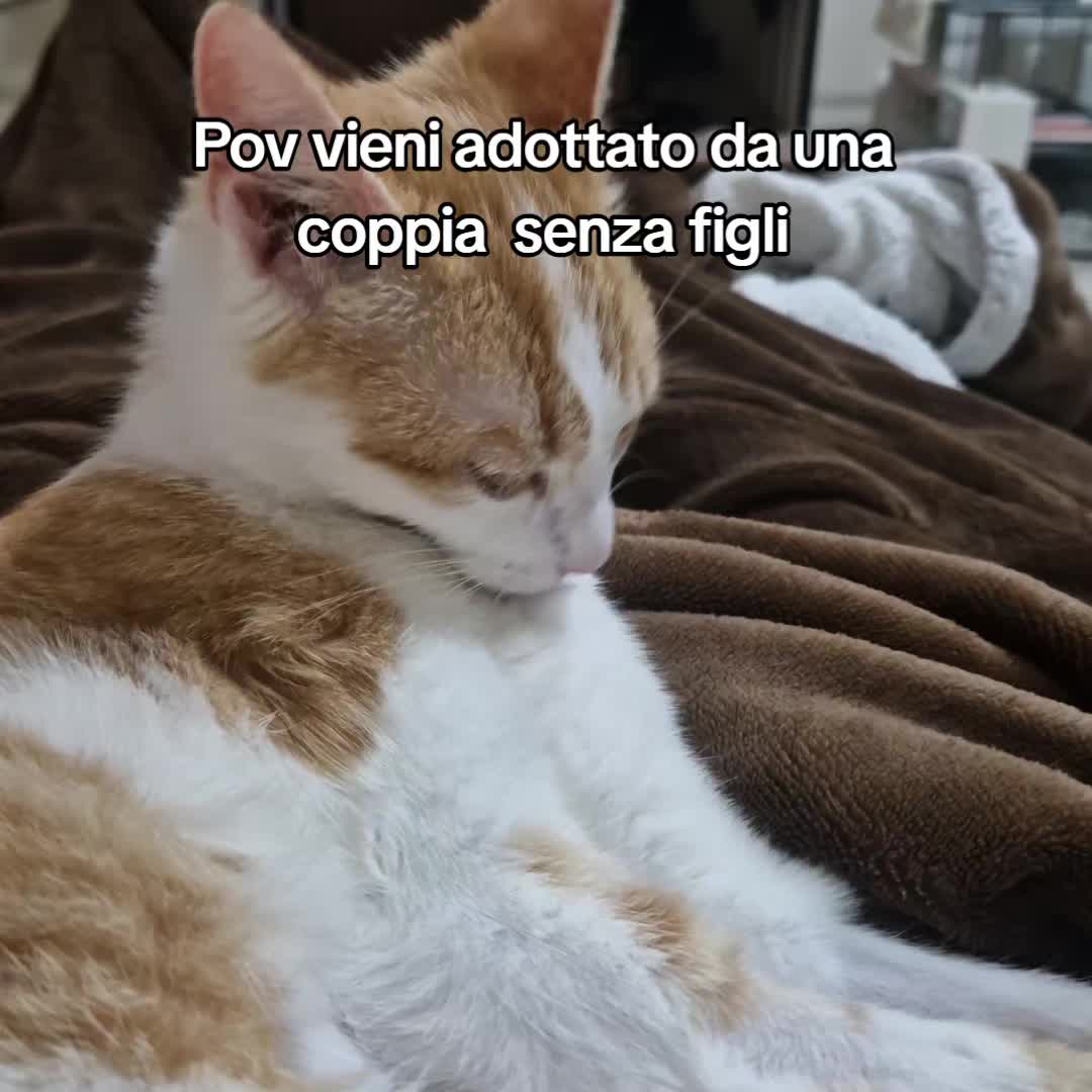 @Jenny Statini