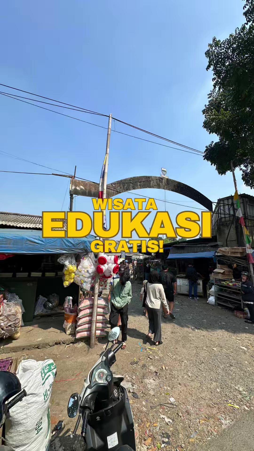 @bejo petmart