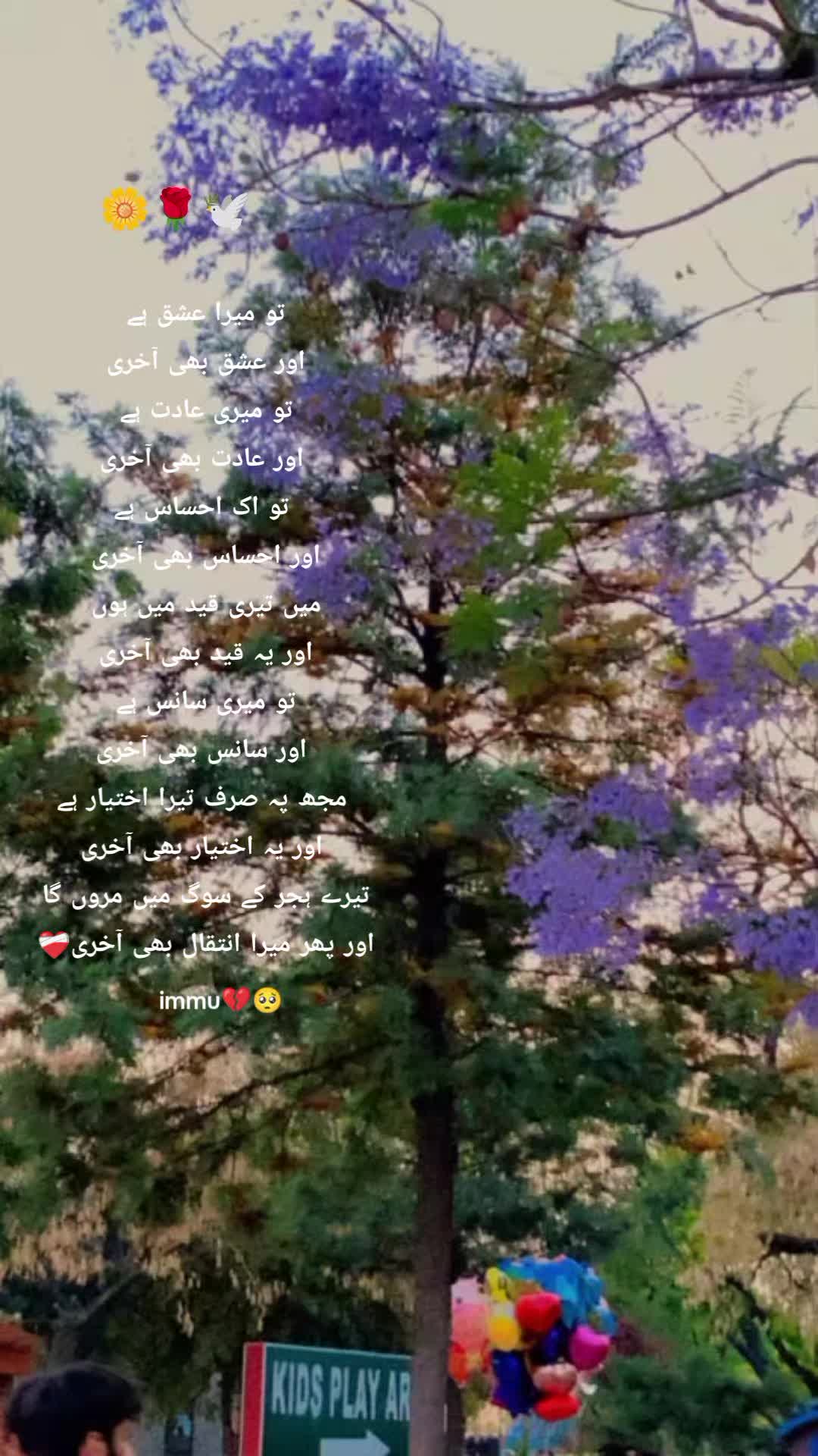 @Mrimmu🌸
