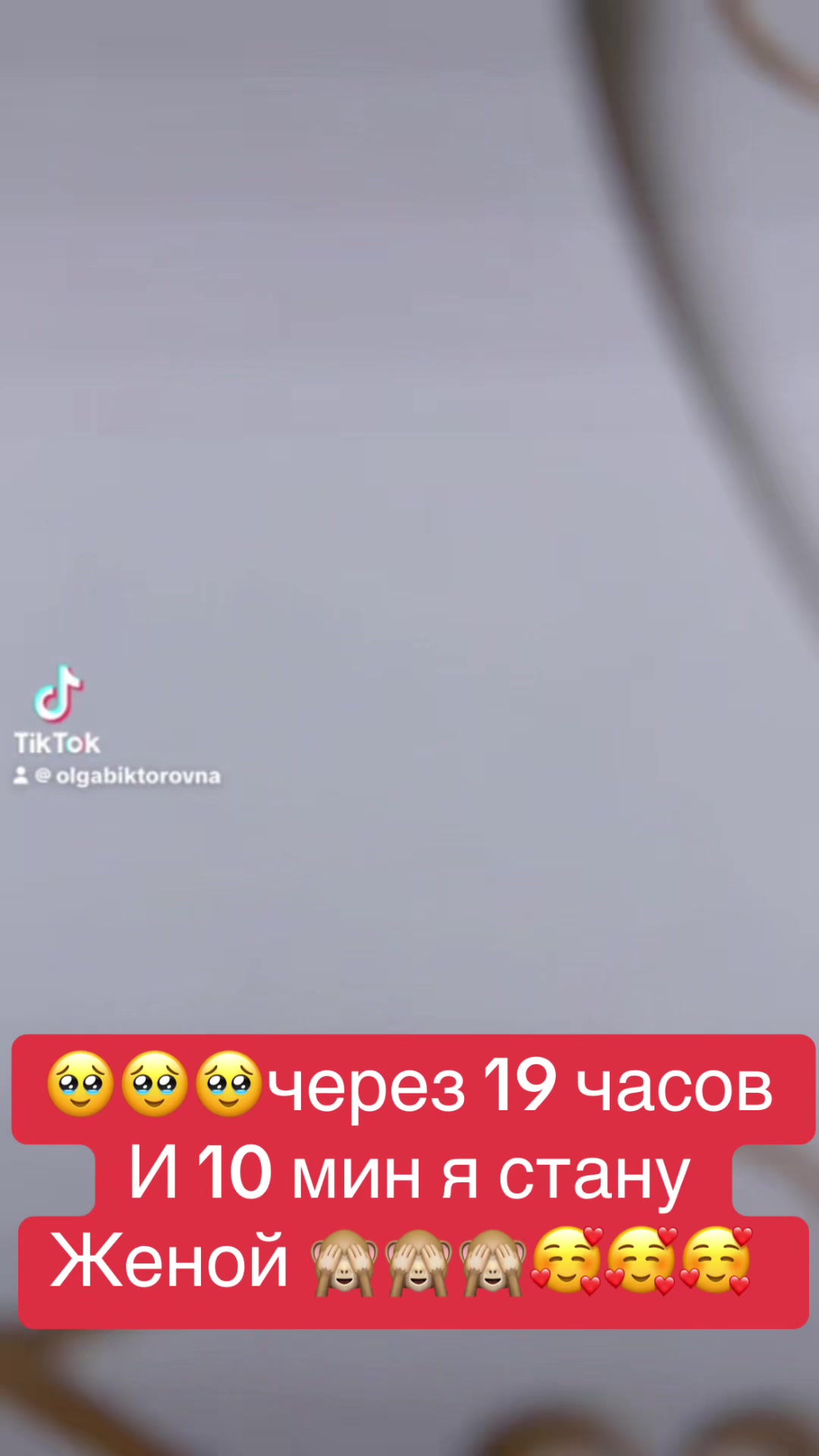 @Olga-svetlaya