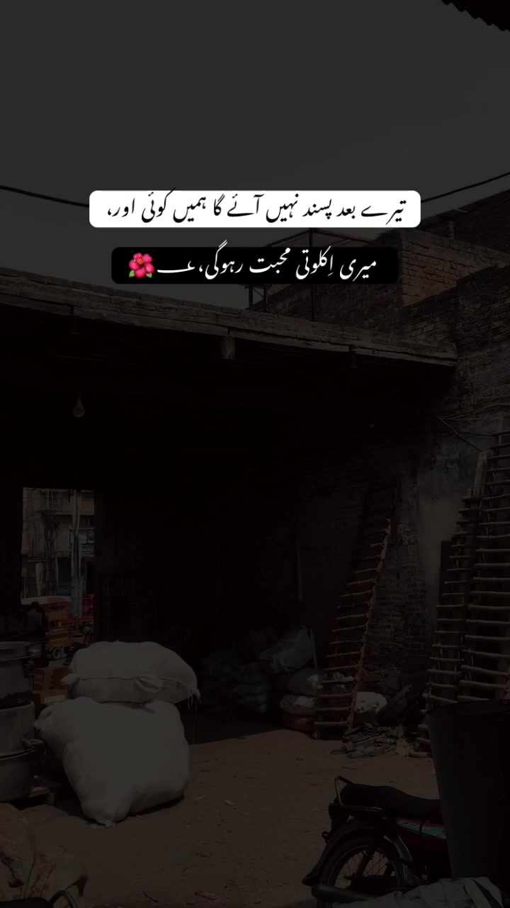 @>پاگل ہو <🦋