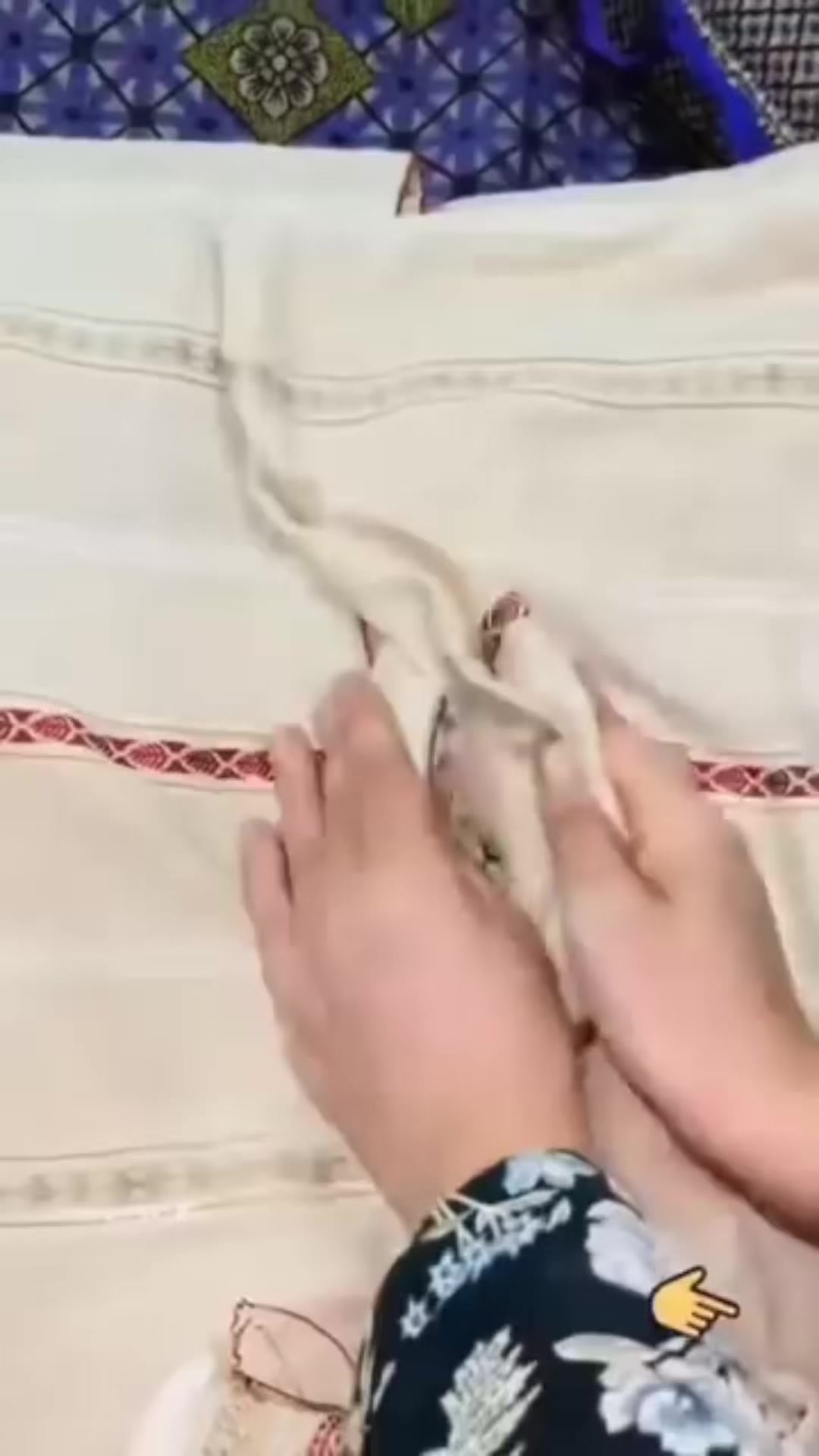 @Mahmoud Rahman