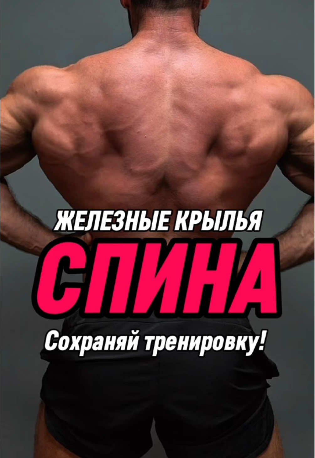 @Eddifitness