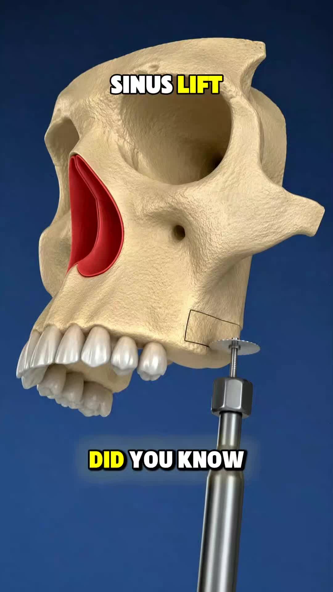 @InsideHumanLab