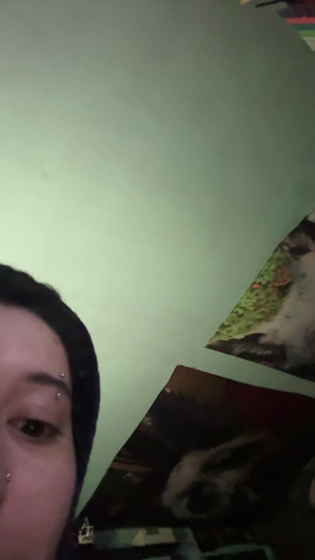 @aLEEn_1317