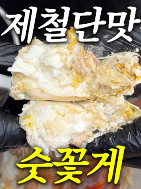 @해운대송사장