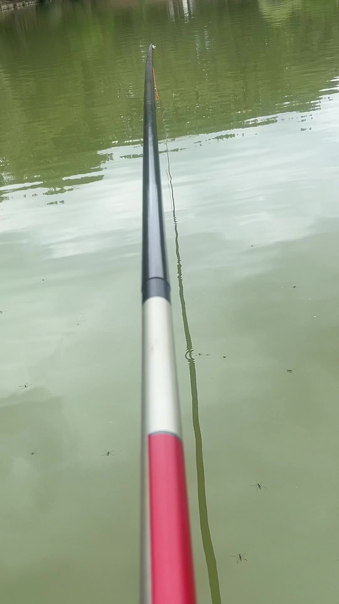 @Carpefishing80