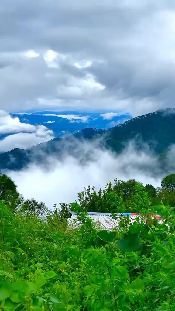 @🍁ayeza kashmiri🍁