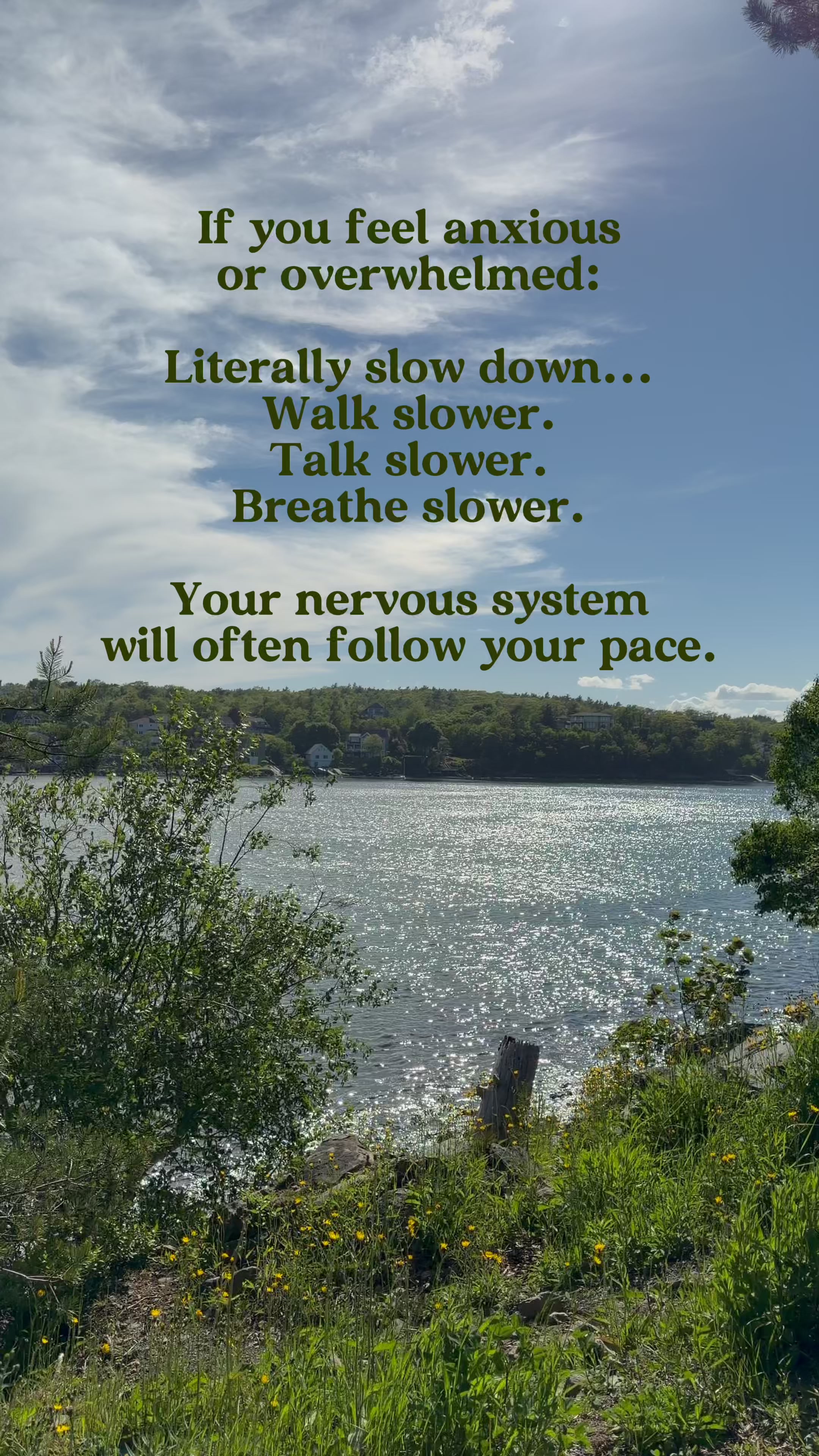 @Dr. Davey Chafe | Psychologist