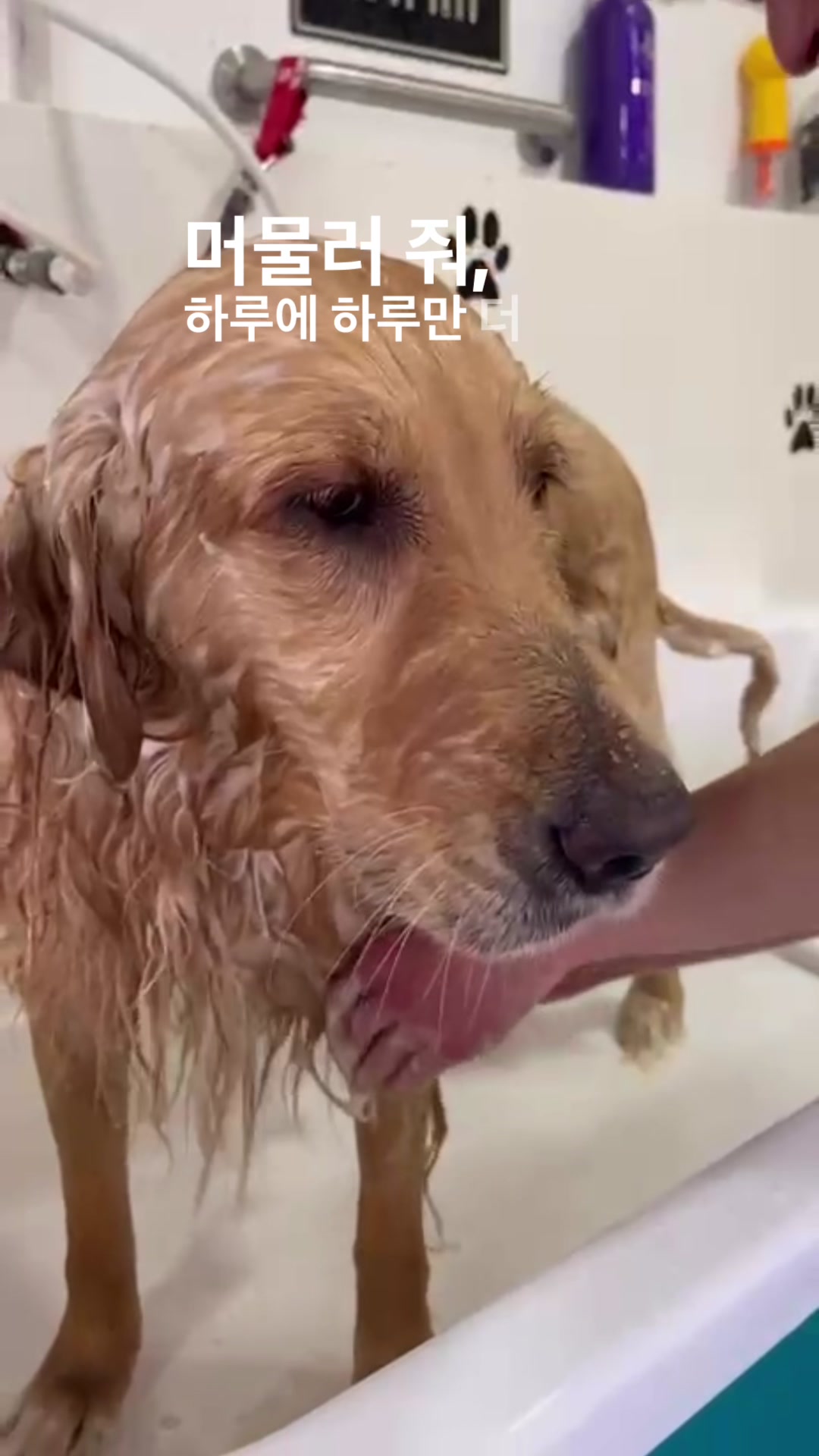 @Soobin’s ceci ✨ will see BTS