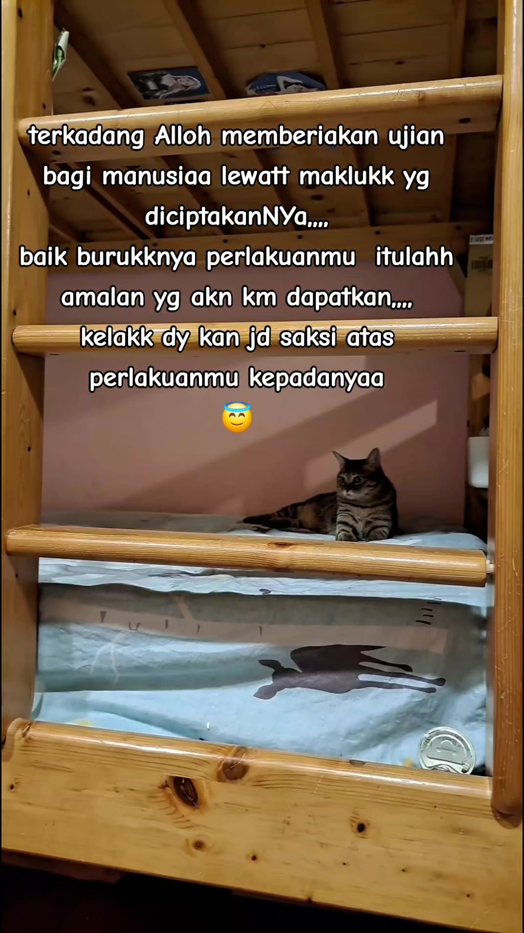@sitykaai