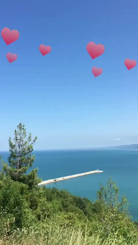 @leyla