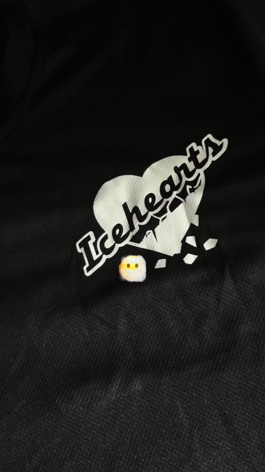 @iceheartsp17p18