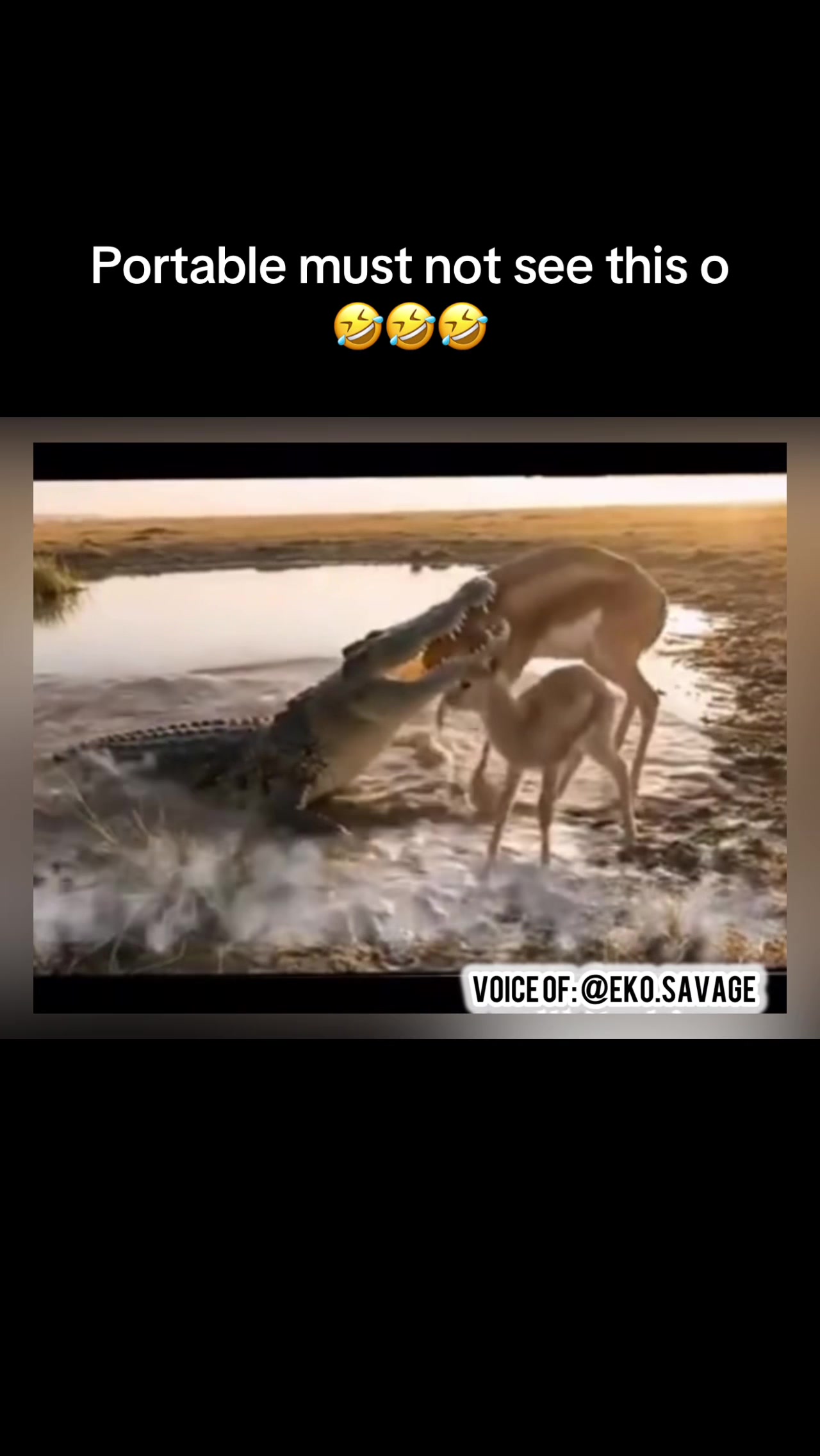 @Eko savage&reg;️