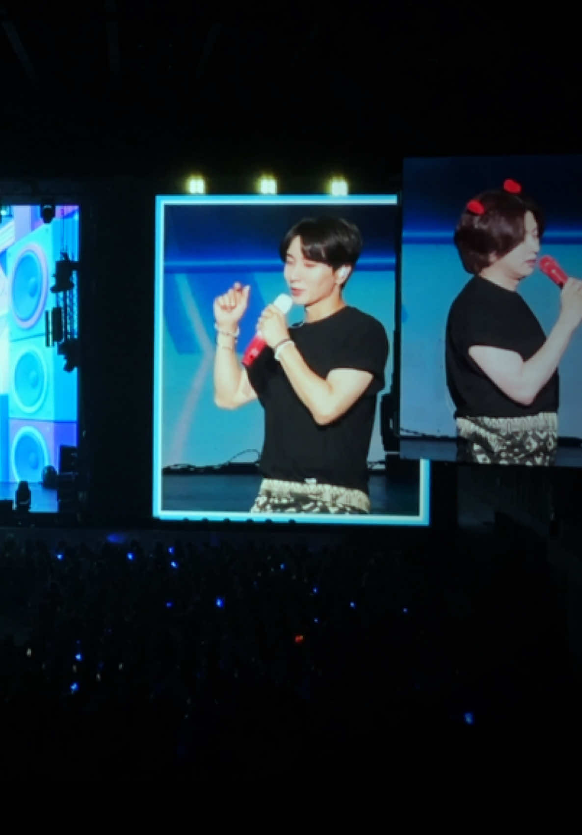 @sue๐๐ฉต elfcarat