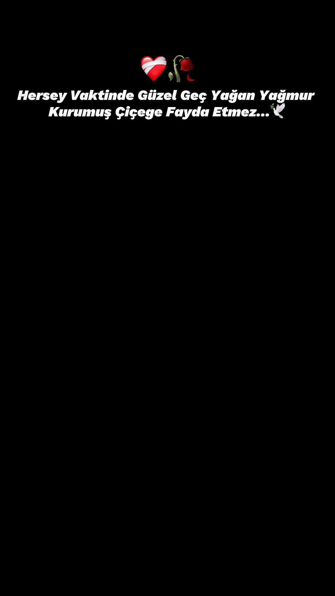 @gncn_61