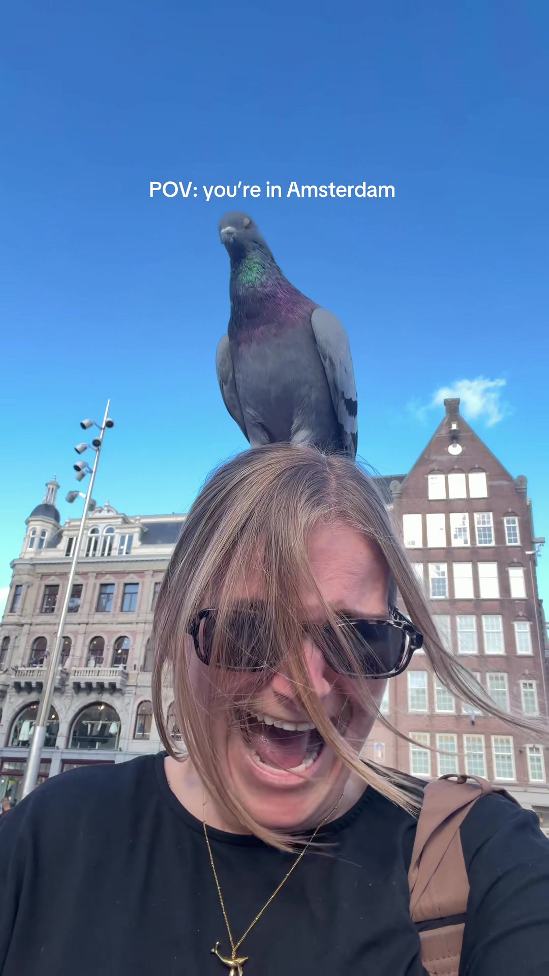 @Polly Frier | Content Creator