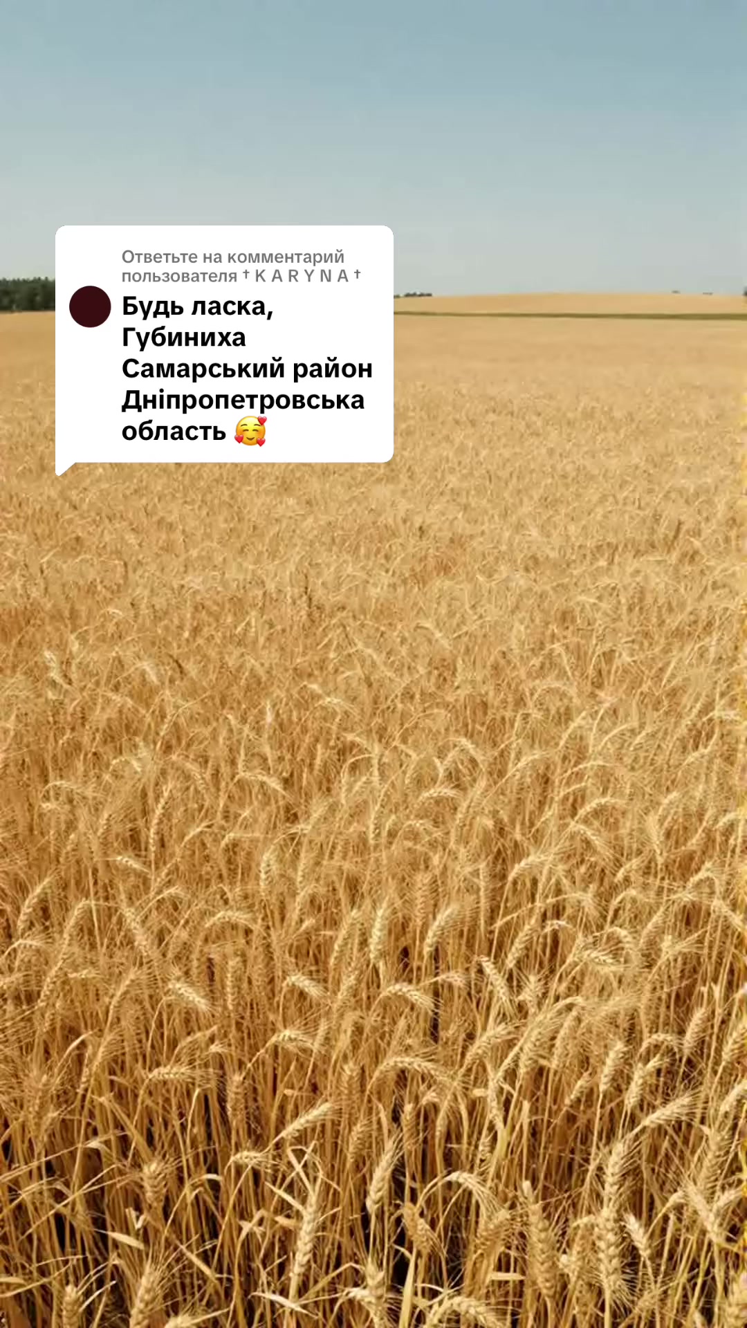 @PavelGorn✅