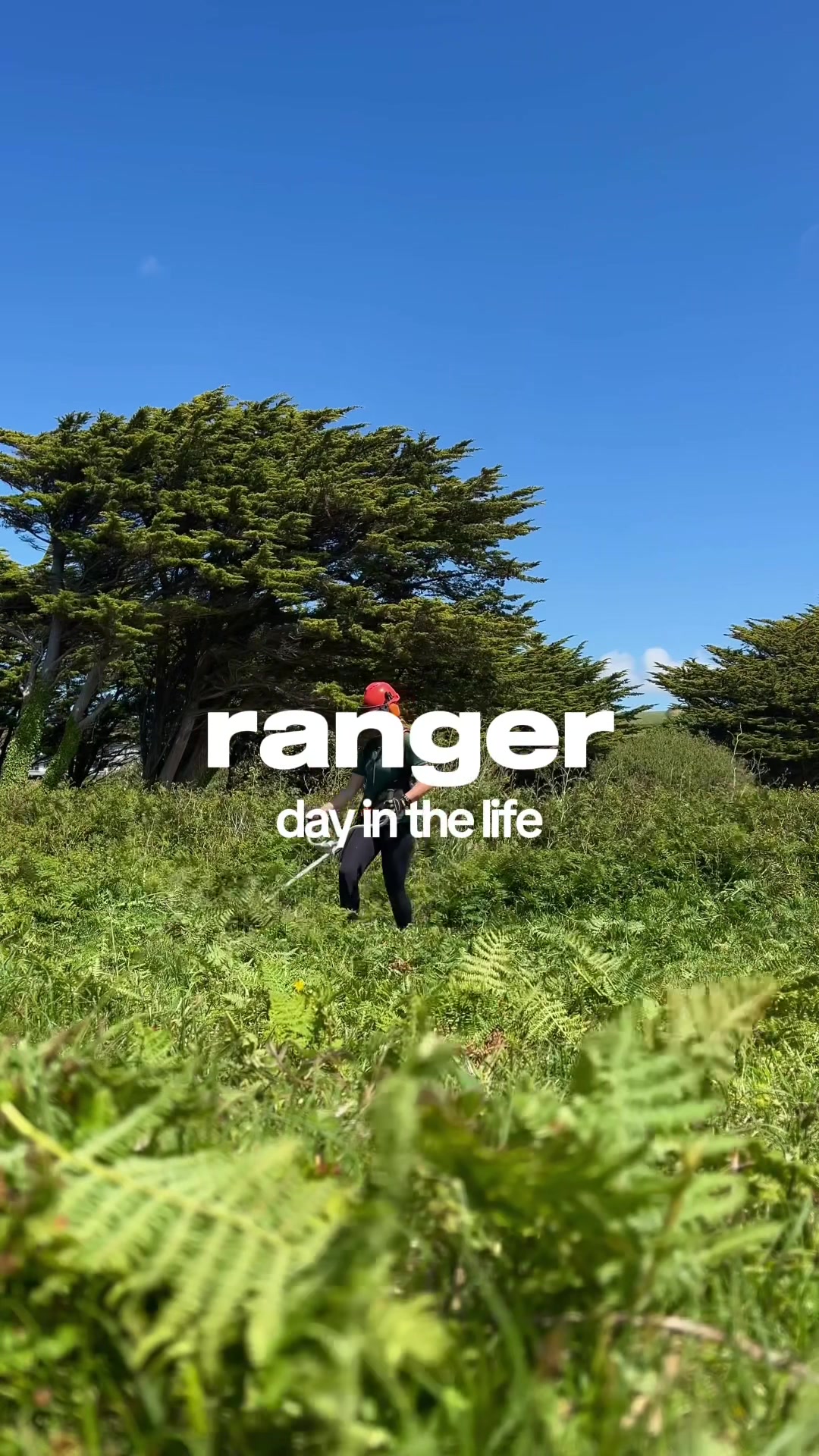 @Liv the Ranger
