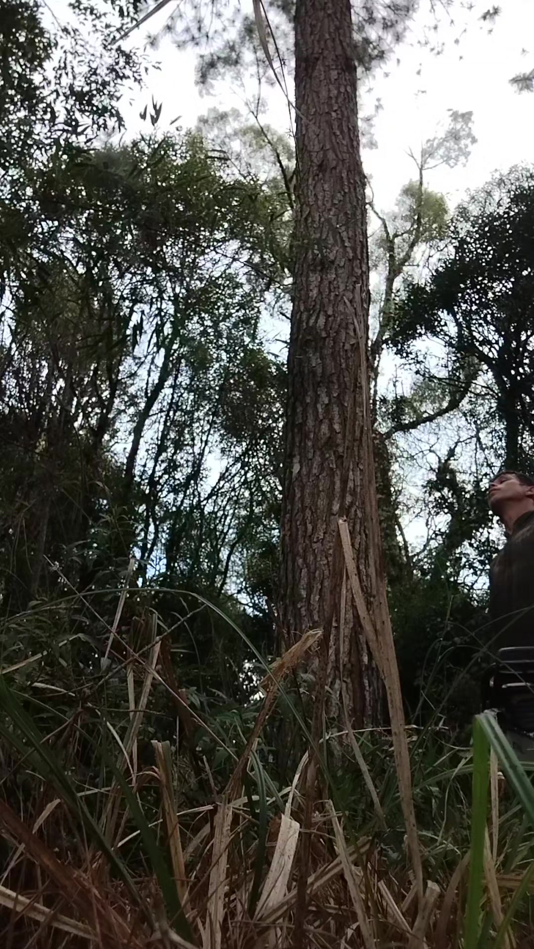 @Daniel Soares 🌲🚜