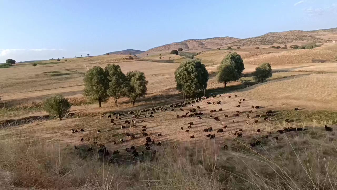 @koçer.12