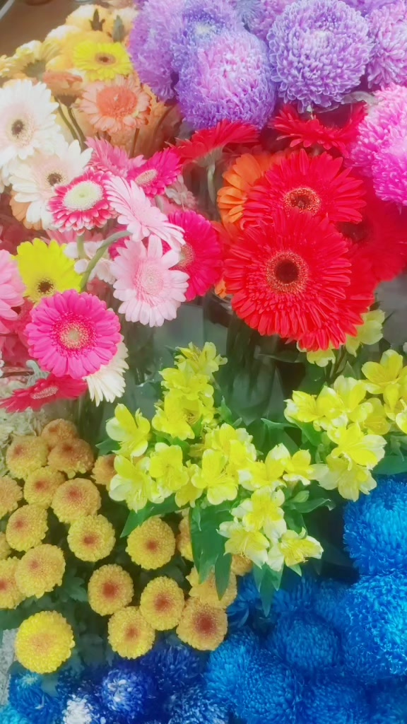 @❤️❤️❤️❤️❤️