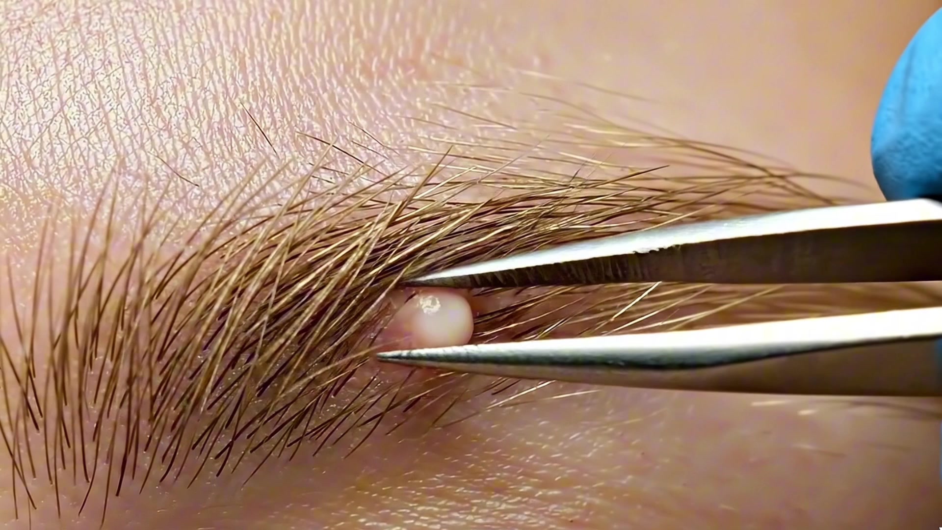 @asmrbeautypro