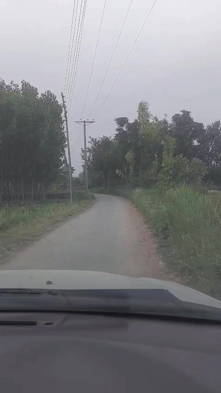 @irshadali4217