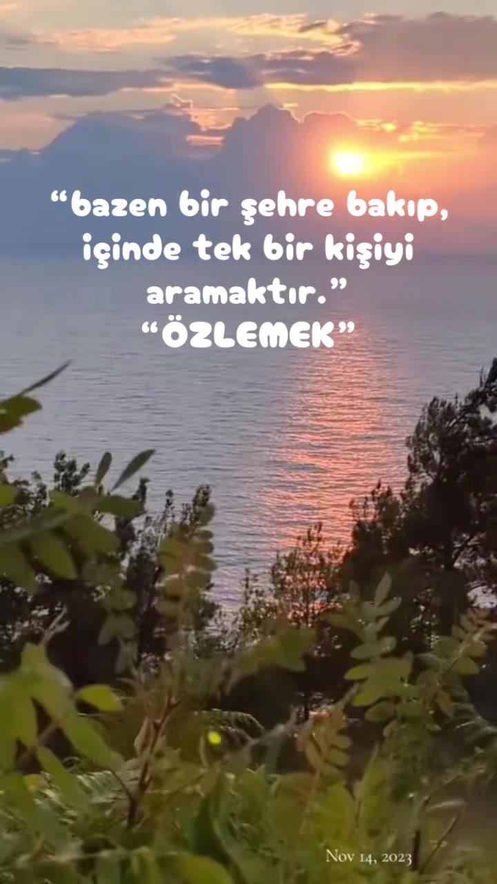 @🐞LâMaZi🐞