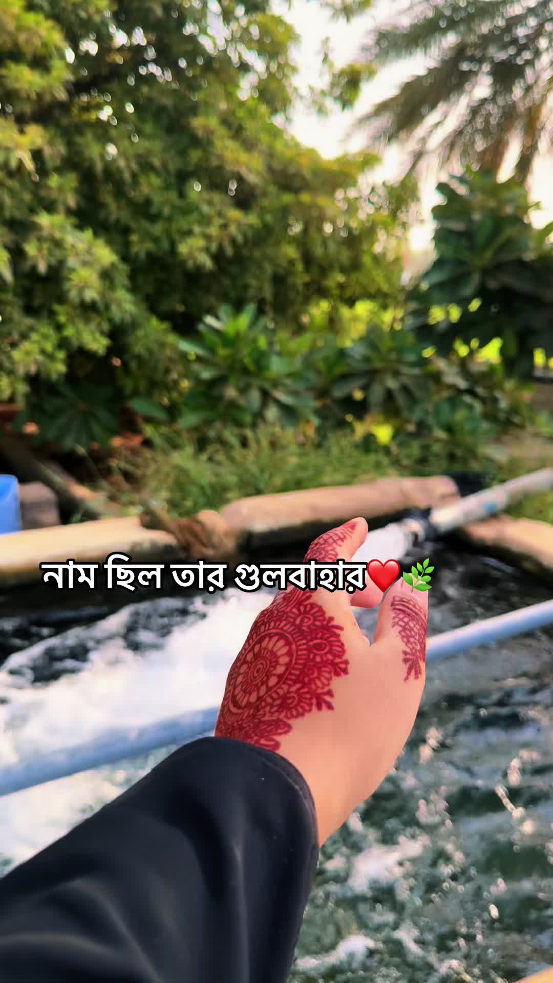 @Nasrin Sultana🥀💫