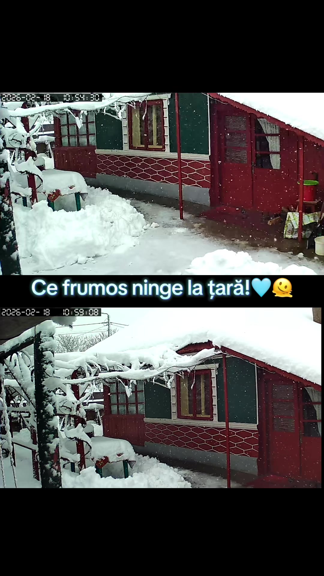 @Alina Florentina Vișan