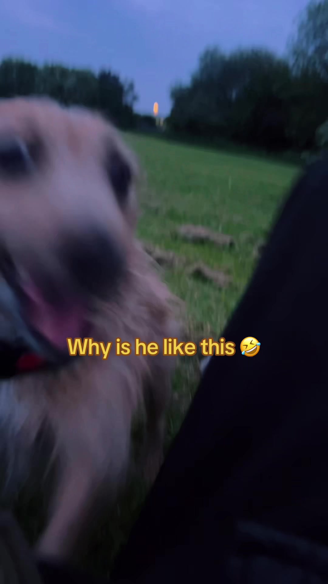 @Omari
