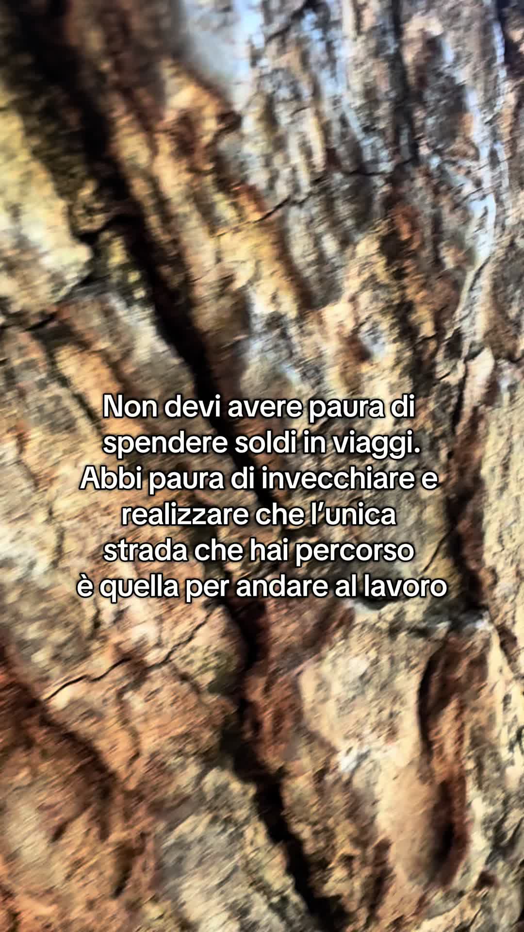 @Elisabetta|โ๏ธ๐ง ๐ฉ๐ป๐ป