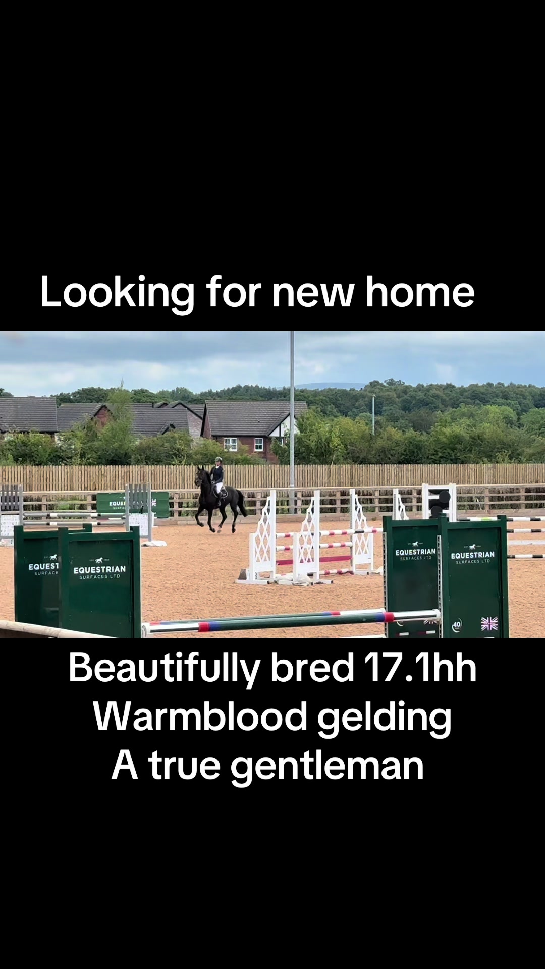 @RavenSide Equestrian