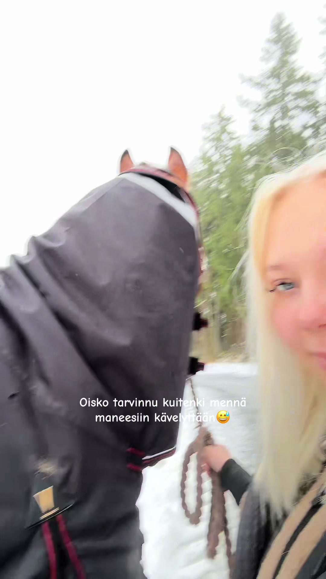 @lainaponeilla