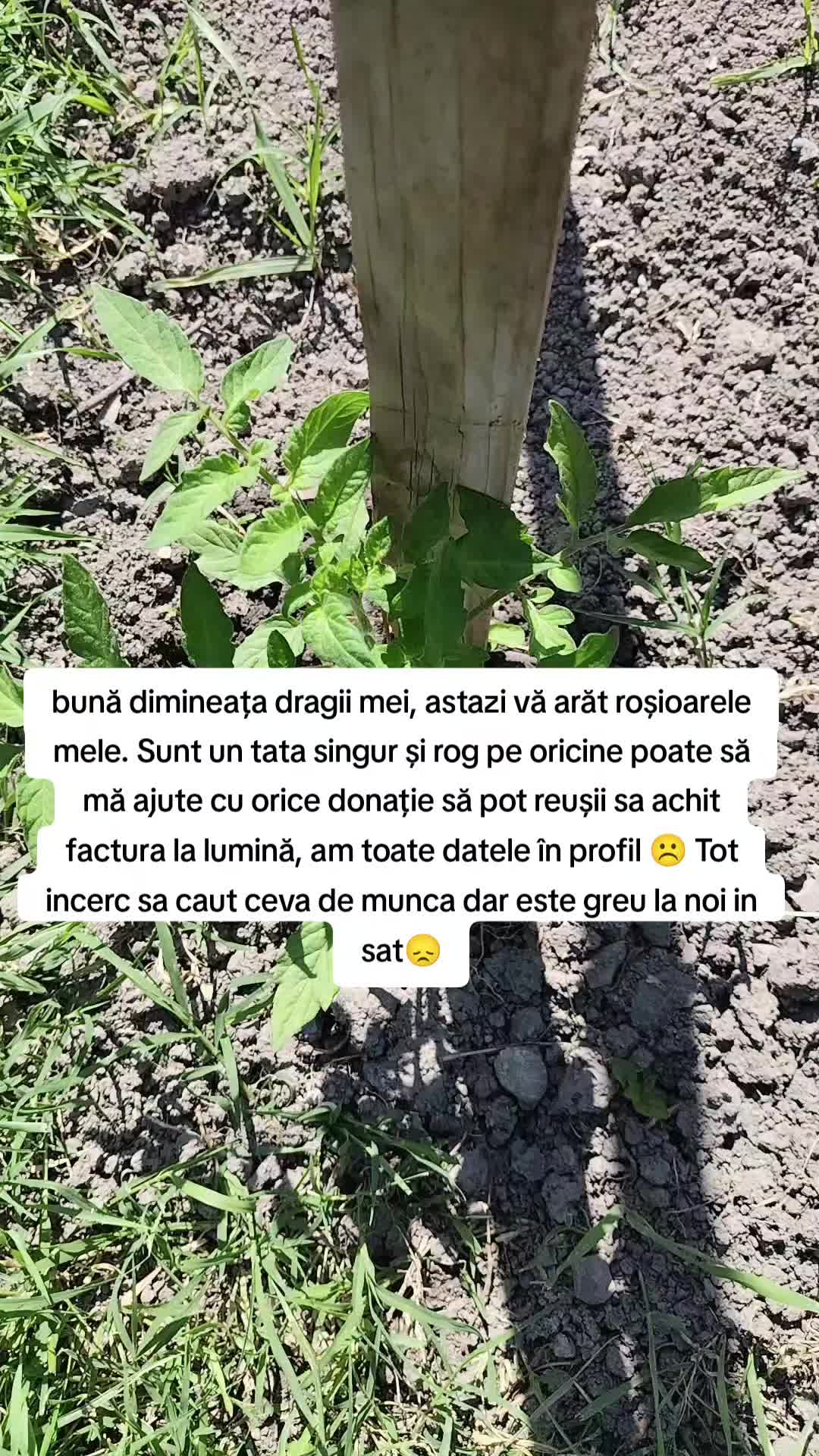 @Cristian