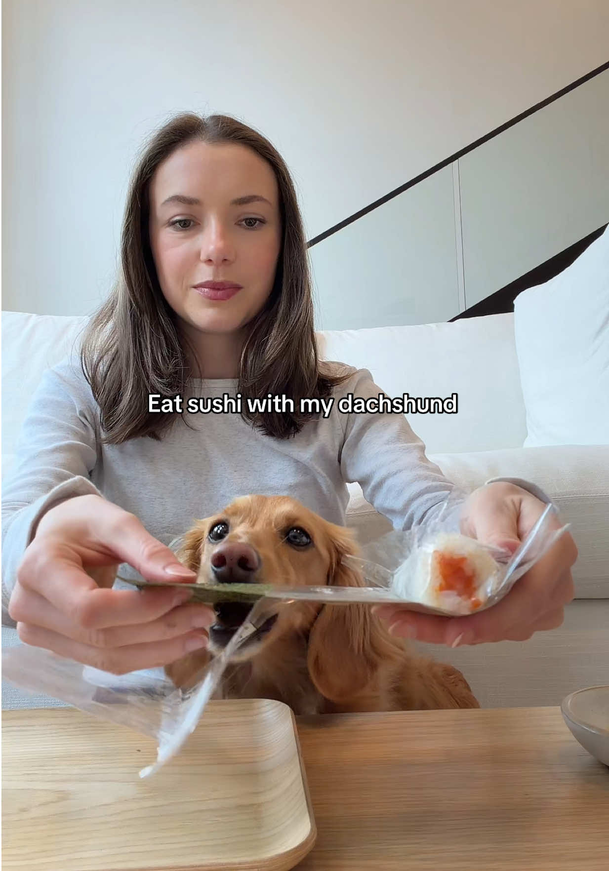 @cashewdachshund