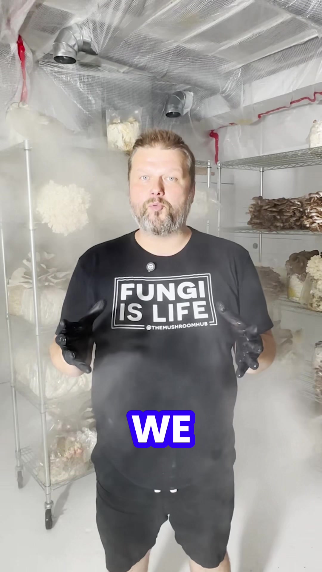 @The Mushroom Hub