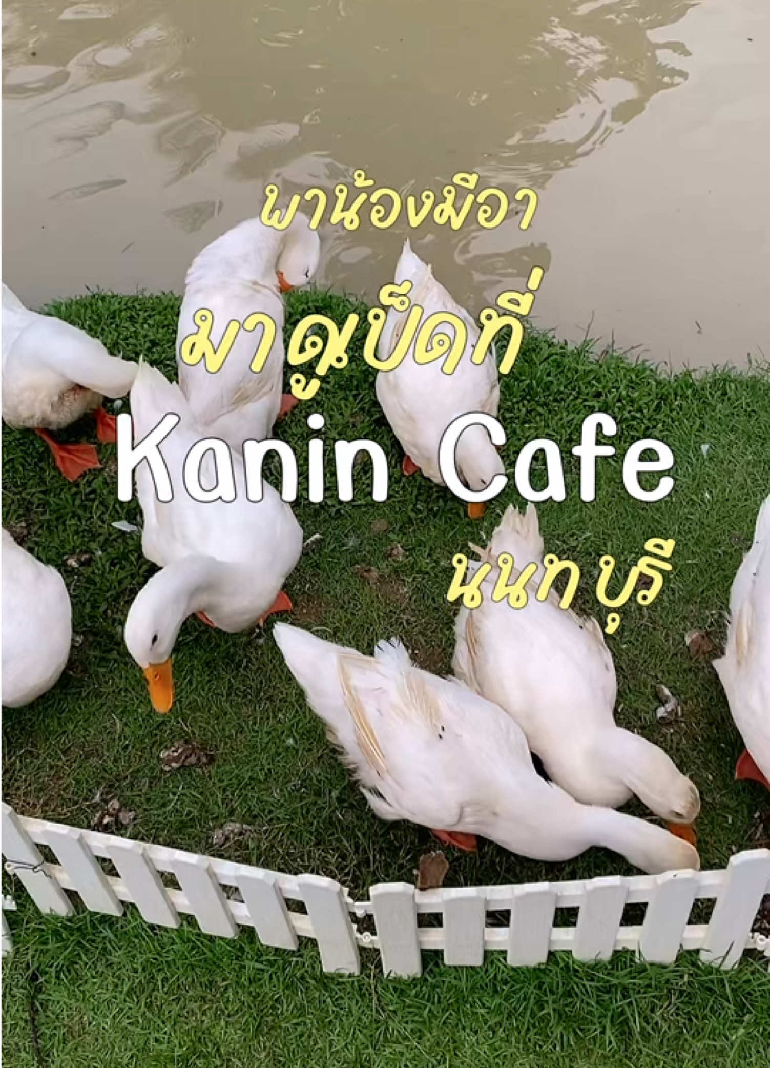@ตะลอนไปเรื่อยกับปะป๊า