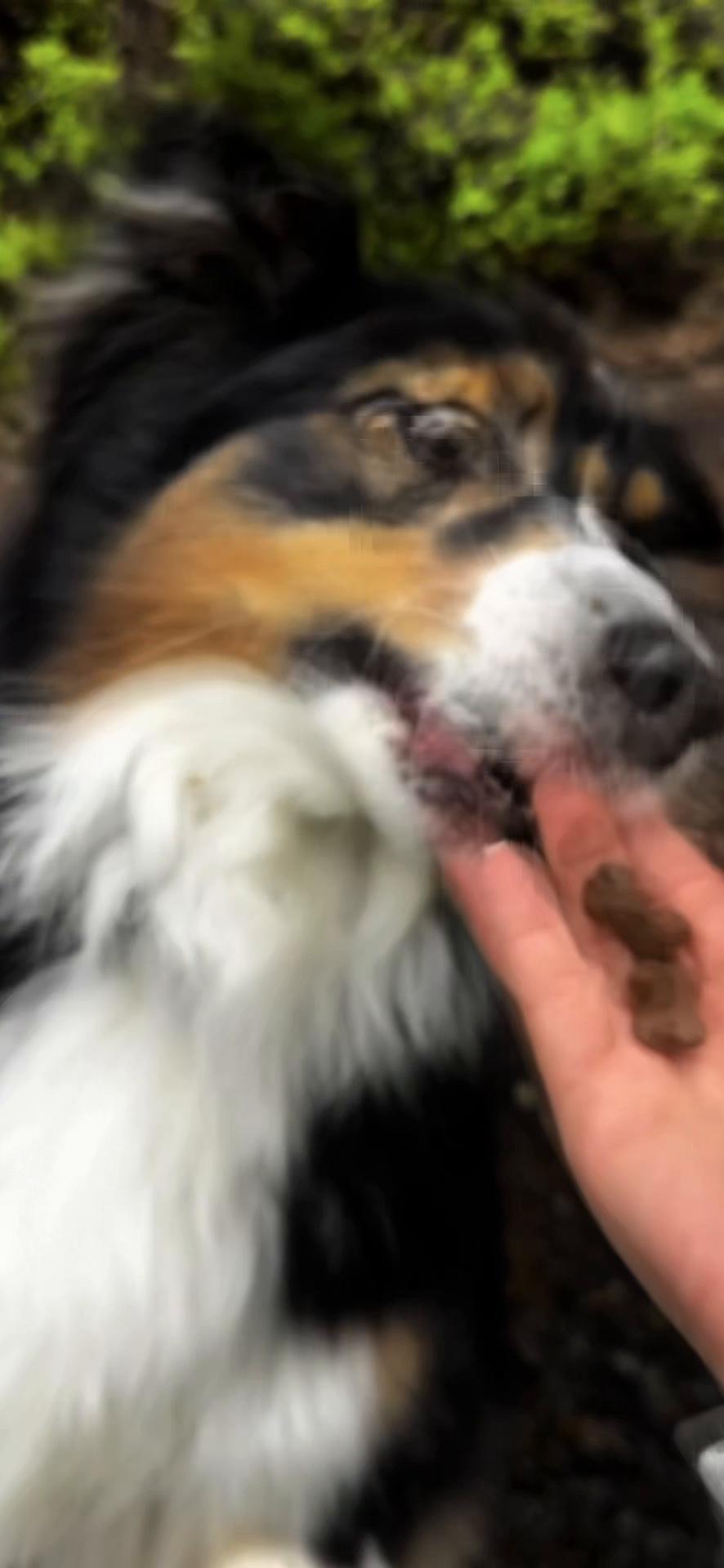 @Náš veterinář